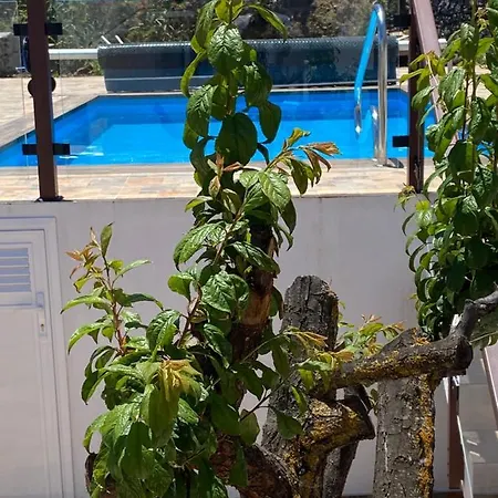 Casa Lola *